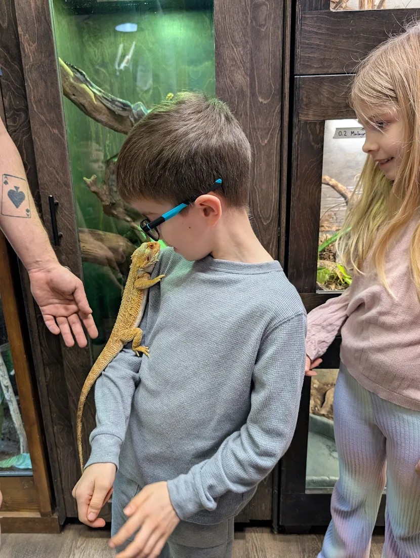 A boy with a bearded dragon on his shoulder beside a friend at the reptile room.